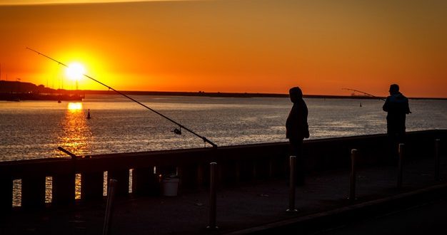 Banyak Ado Tentang Memancing Ikan Bass Merak