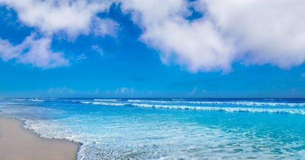 Liburan petualangan yang mengasyikkan di Pantai Daytona