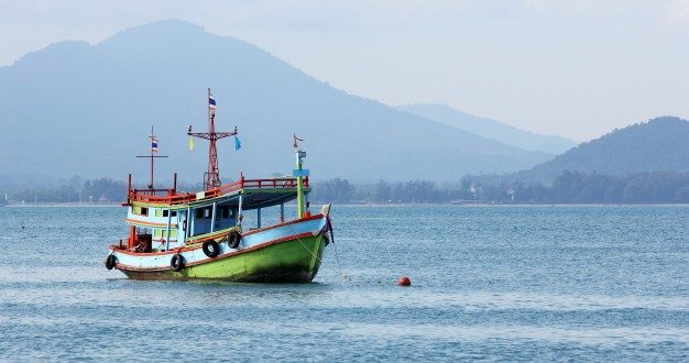 Pencarian menarik untuk bass laut